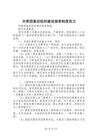 共青团基层组织建设规章制度范文