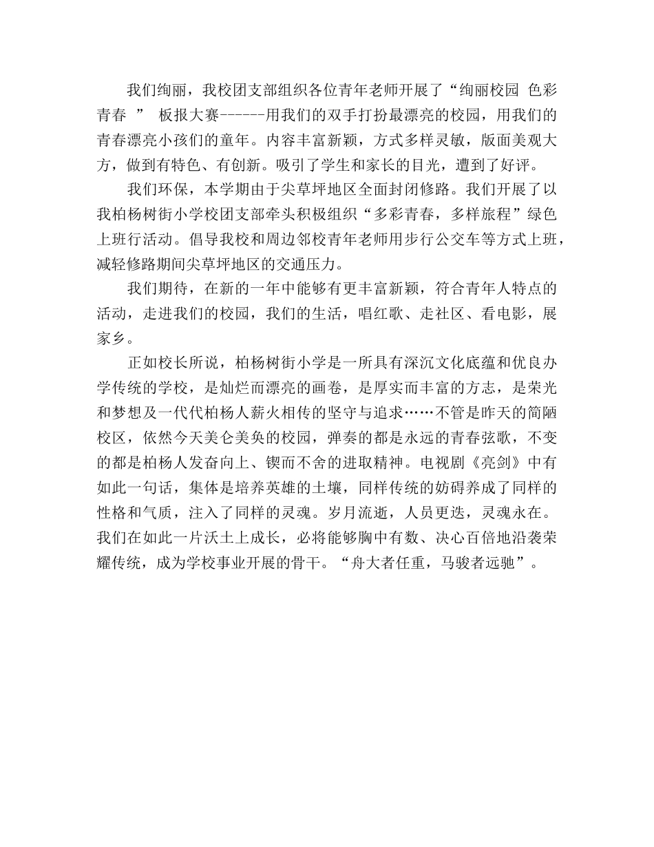 团支部工作参考总结-致我们永不消逝的青春（通用） _第3页