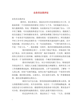 业务员自我评定 