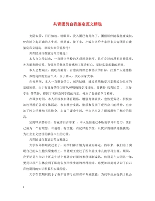 共青团员自我鉴定范文精选 