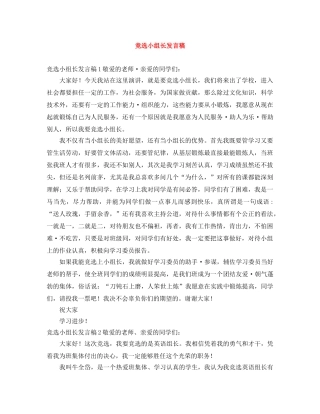 竞选小组长发言稿 