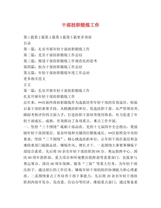 干部挂职锻炼工作 