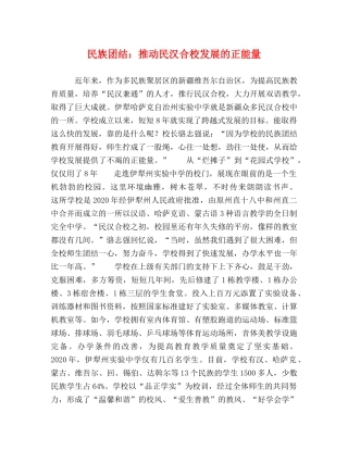 民族团结推动民汉合校发展的正能量 