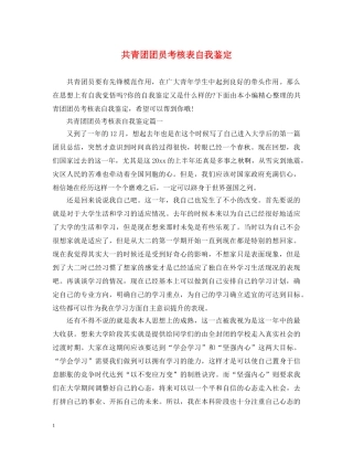 共青团团员考核表自我鉴定 