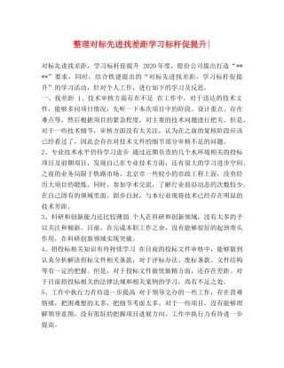 整理对标先进找差距学习标杆促提升- 