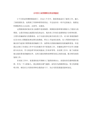 公司员工试用期转正的自我鉴定 