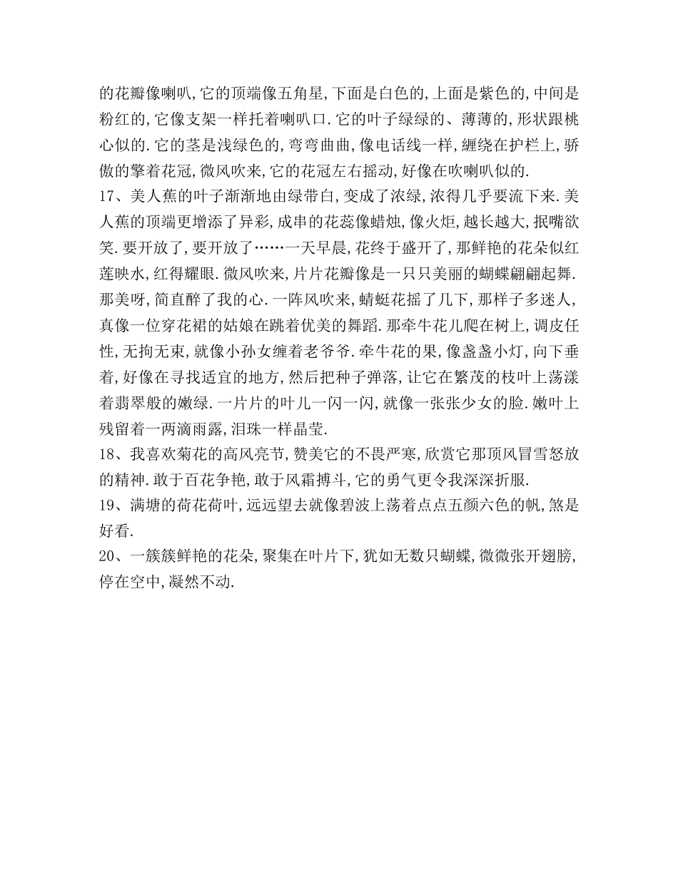 描写花的优美句子_段落 _第3页
