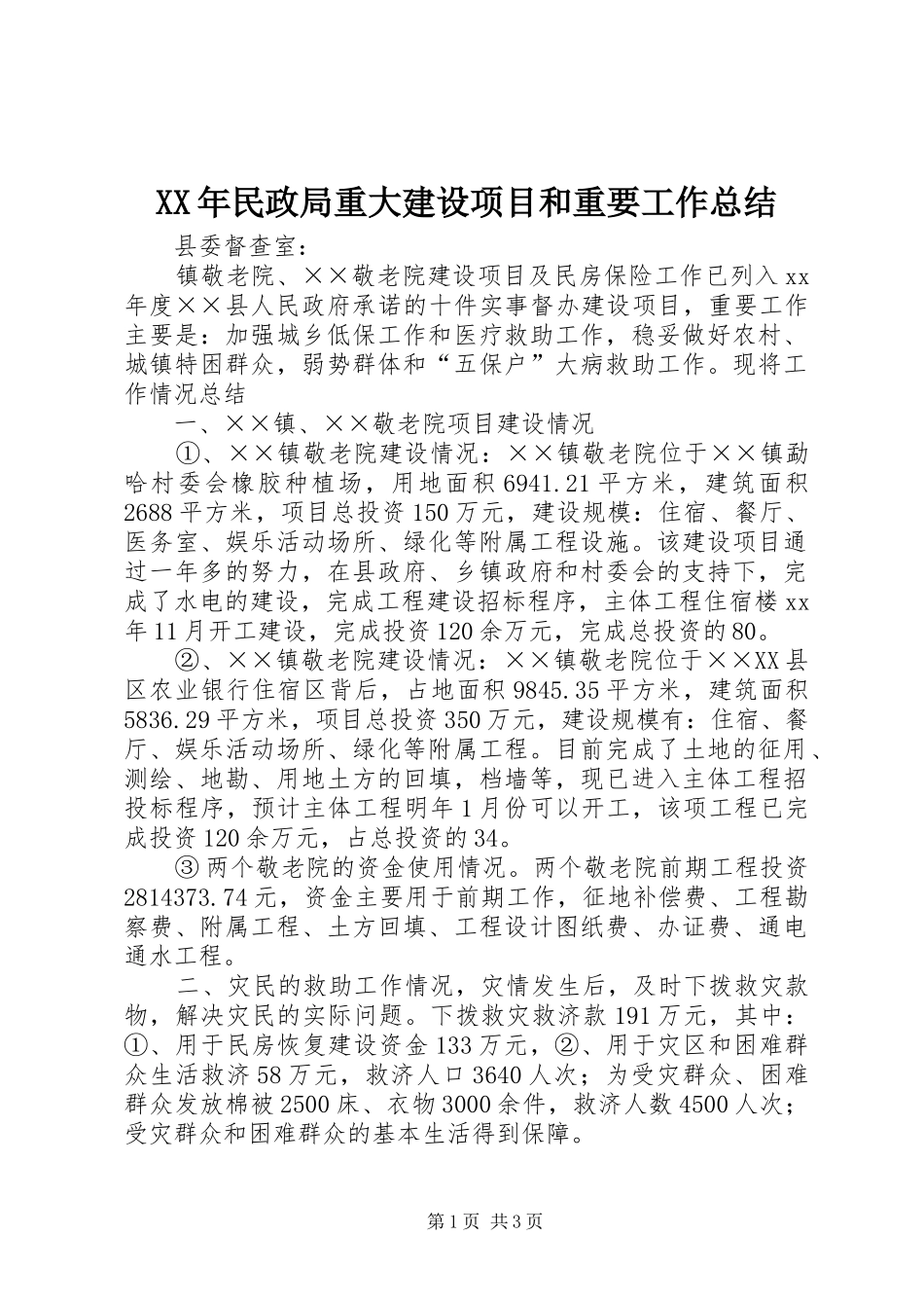XX年民政局重大建设项目和重要工作总结_第1页