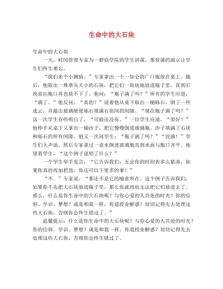 生命中的大石块 