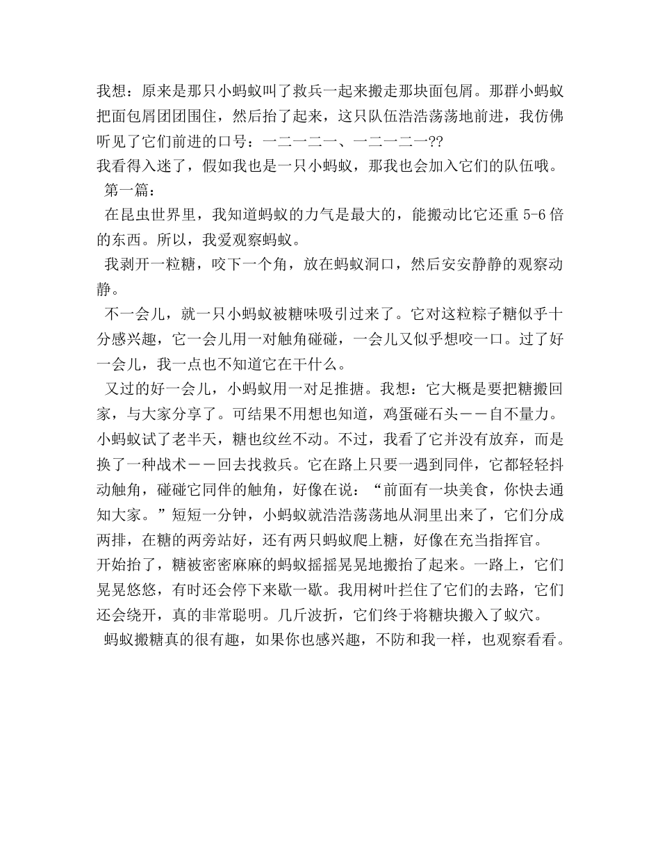 关于蚂蚁的作文300字 _第3页