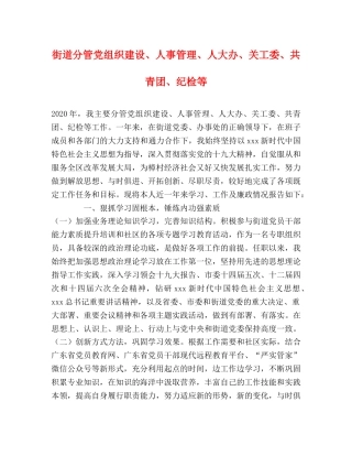 街道分管党组织建设、人事管理、人大办、关工委、共青团、纪检等 