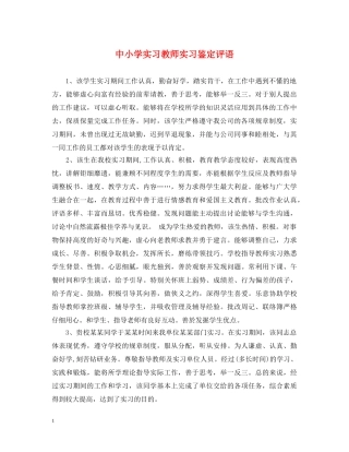 中小学实习教师实习鉴定评语 