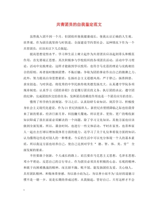 共青团员的自我鉴定范文 