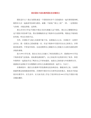 我在团队中成长教师团队发言稿范文 