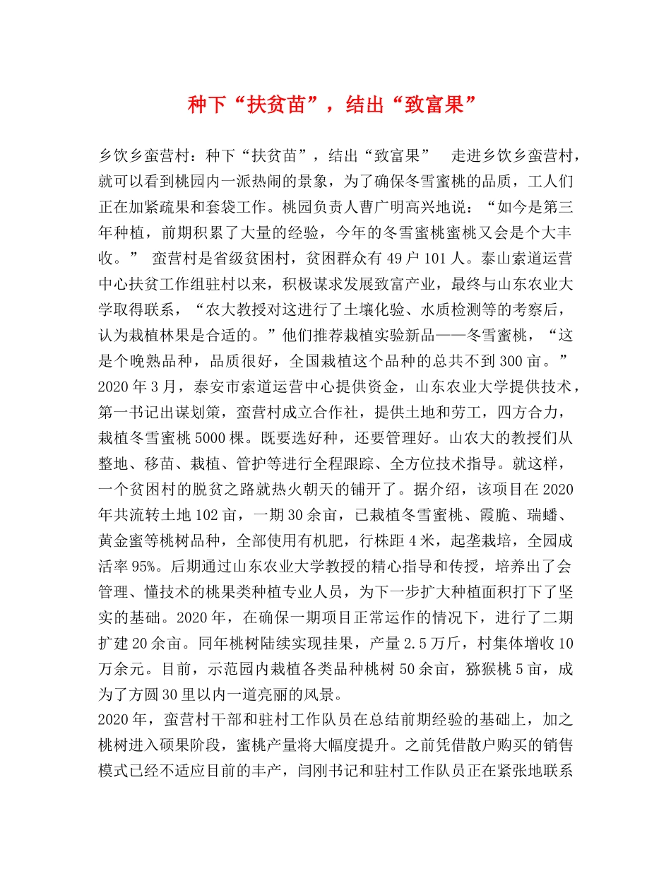 节日讲话-种下“扶贫苗”，结出“致富果” _第1页