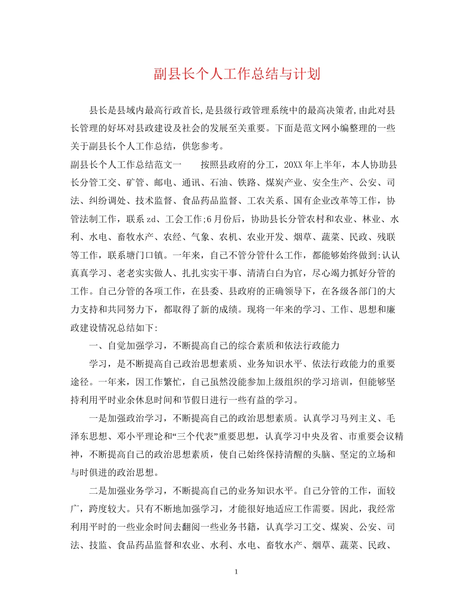 副县长个人工作总结与计划_第1页