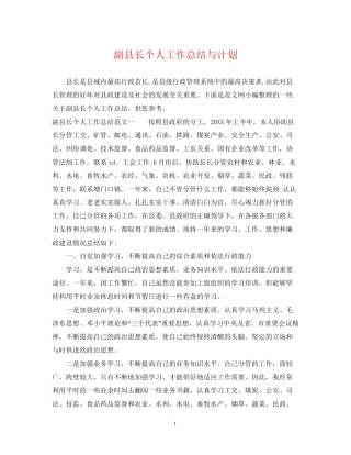 副县长个人工作总结与计划