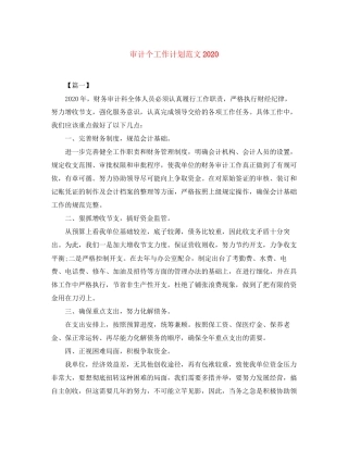 审计个工作计划范文