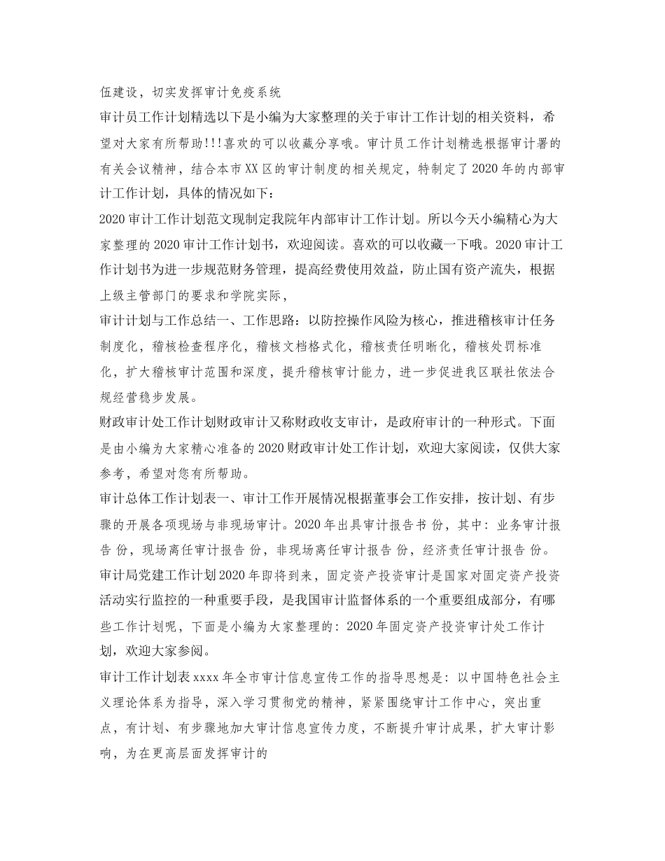 审计工作计划大全_第2页