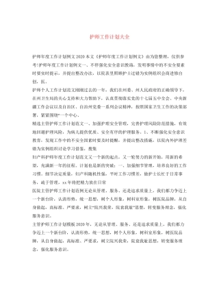 护师工作计划大全