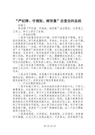 “严纪律、守规矩、树形象”自查自纠总结