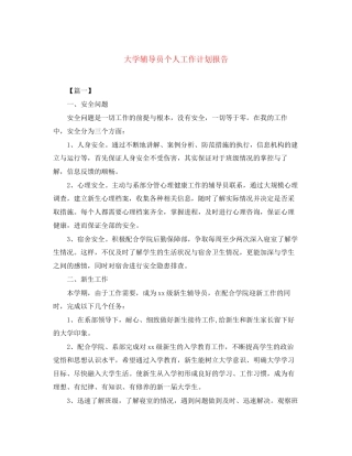 大学辅导员个人工作计划报告