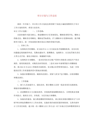 审计计划与工作总结