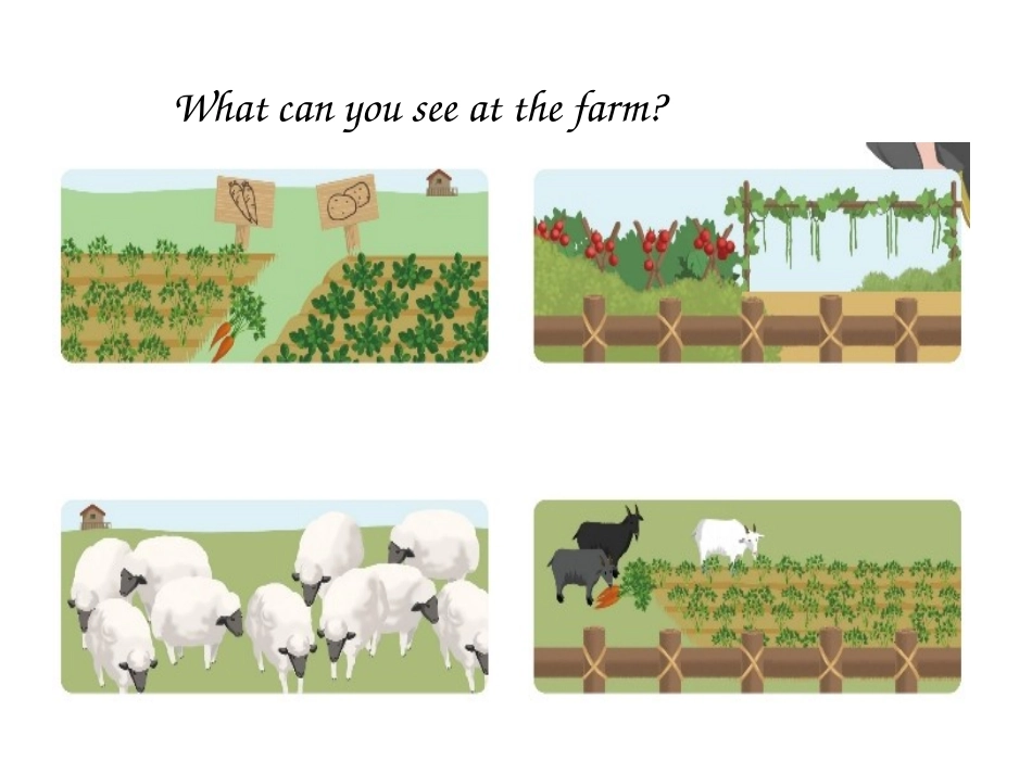 PEP四年级下册U4Readandwtite_第3页