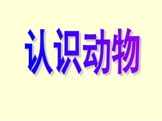 《松鼠和松果》PPT课件