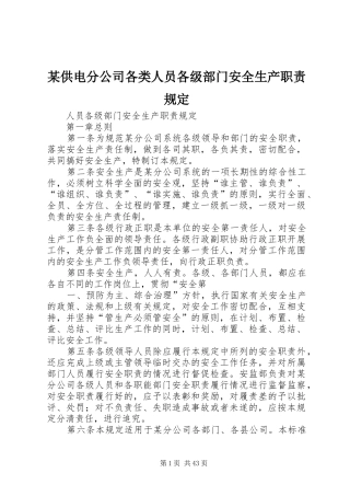 某供电分公司各类人员各级部门安全生产职责规定