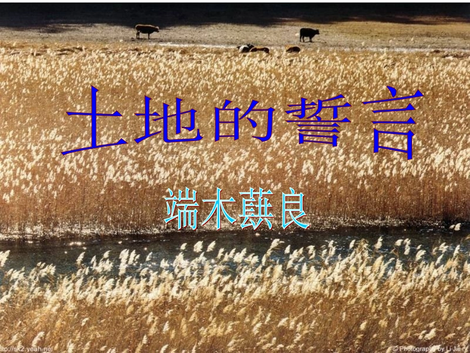 《土地的誓言》课件 (2)_第2页