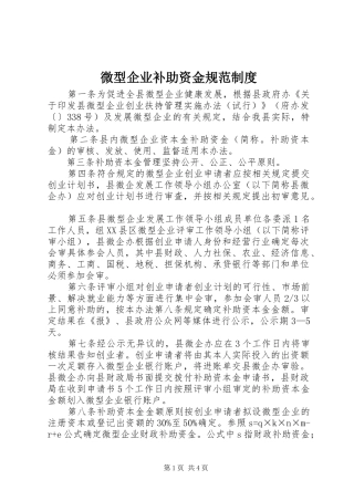 微型企业补助资金规范制度