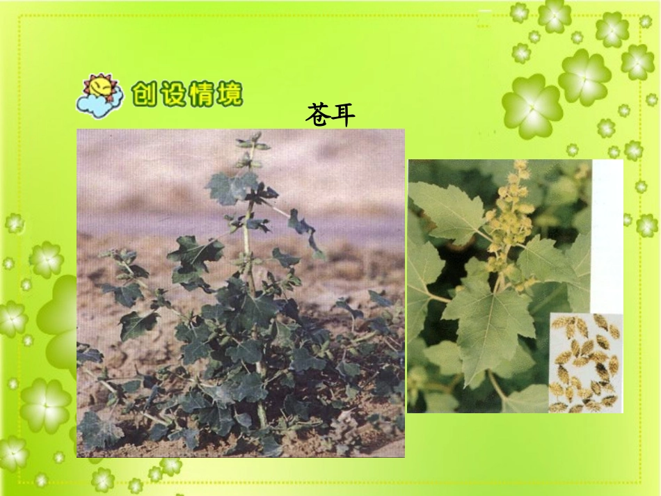 植物妈妈有办法 (7)_第2页