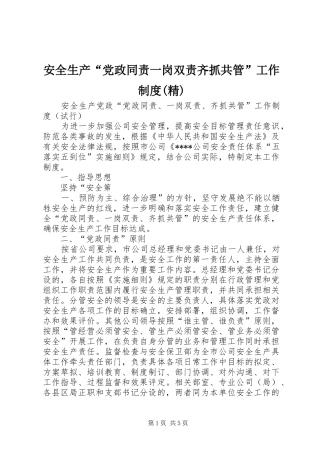 安全生产“党政同责一岗双责齐抓共管”工作制度(精)