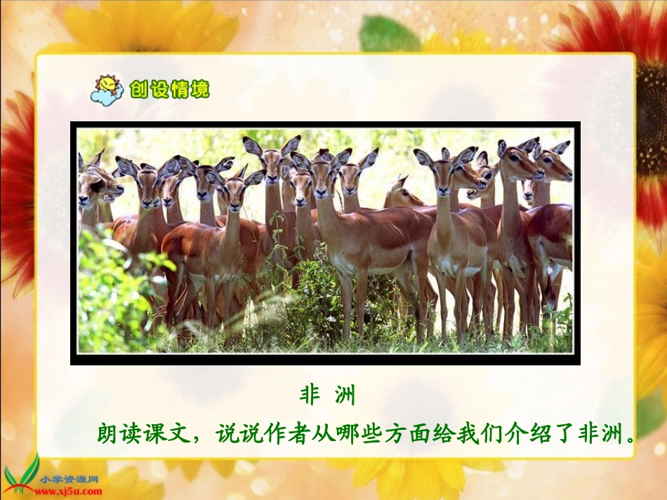 《彩色的非洲》课件_第3页