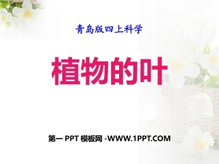 2016秋青岛版科学（五四制）四上第3课《植物的叶》课件