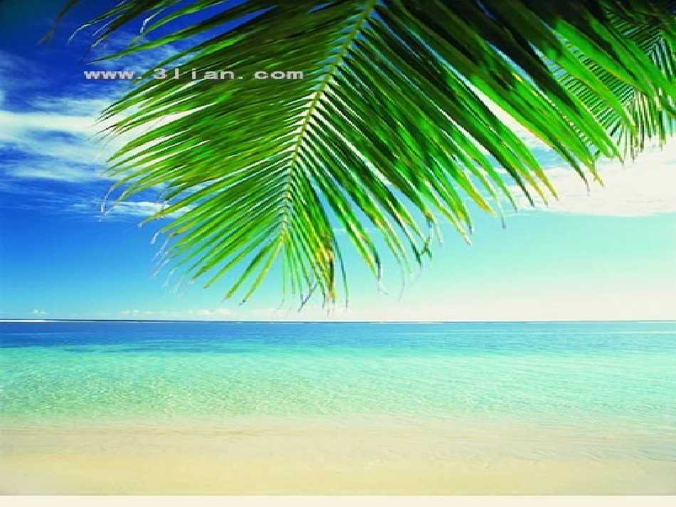 夏日的海滩 (3)_第2页