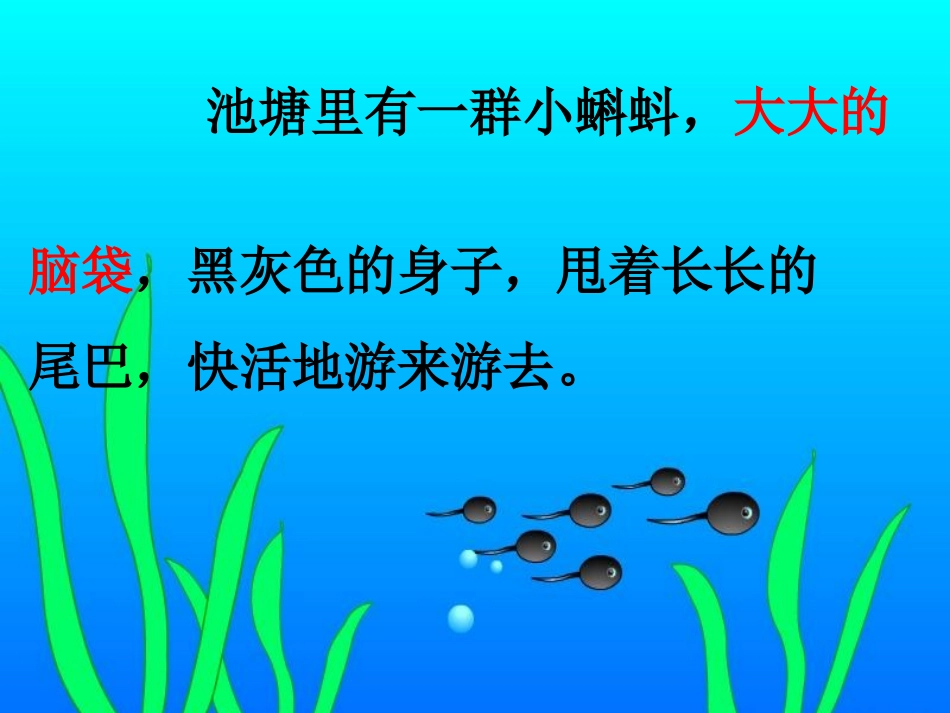 小蝌蚪找妈妈(新) (2)_第3页