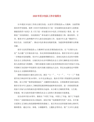 2020年区少先队工作计划范文