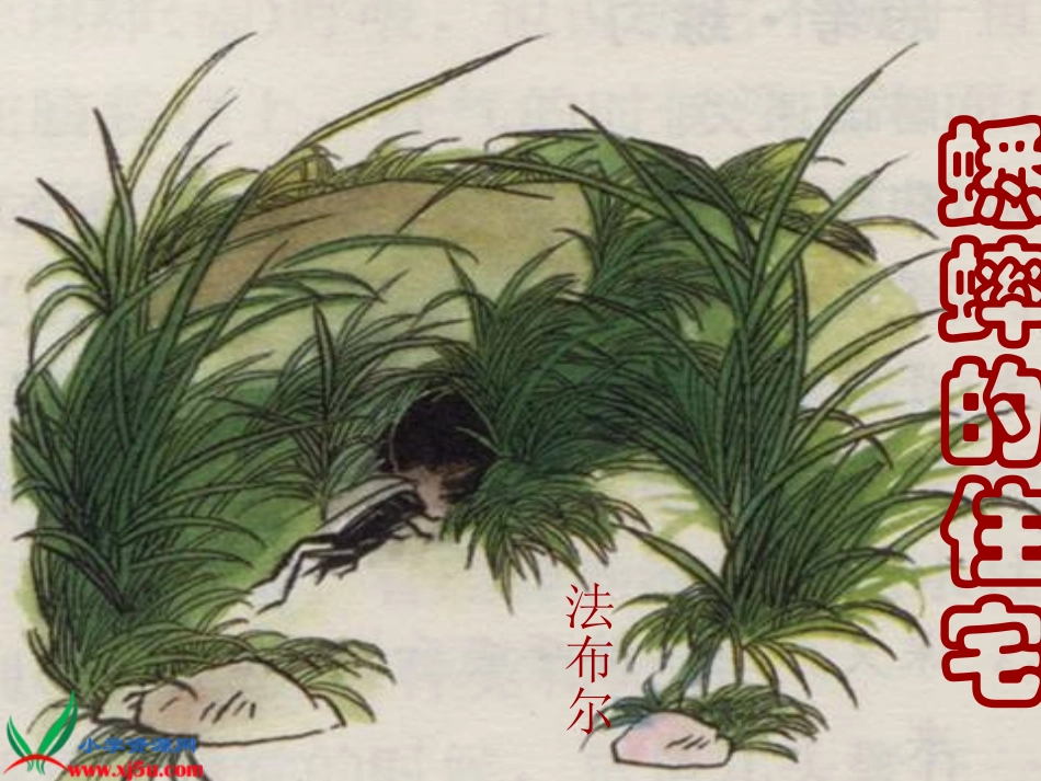 《蟋蟀的住宅》PPT课件 (5)_第2页