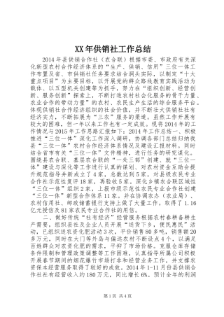 XX年供销社工作总结 (3)