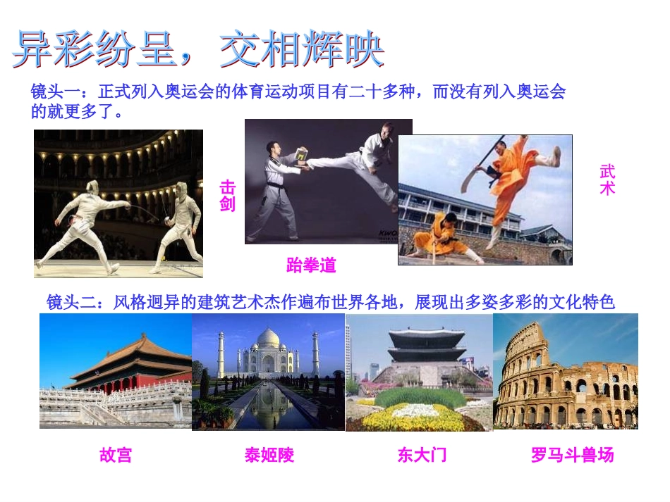 《世界文化的多样性》课件_第3页