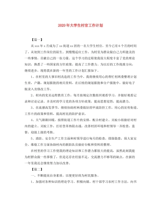 2020年大学生村官工作计划