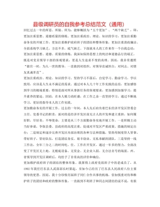县级调研员的自我参考总结范文（通用） 