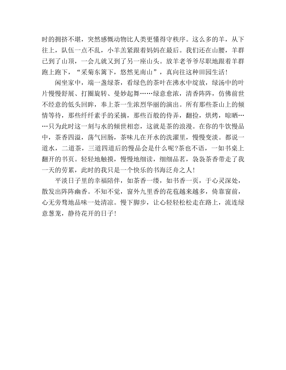 散文《花儿一路开》 _第2页