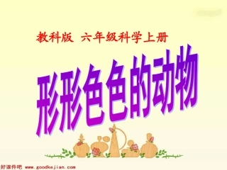 形形色色的动物课件（教科版科学四年级上册）