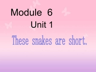 M6U1Thesesnakesareshort(2)一年级下册