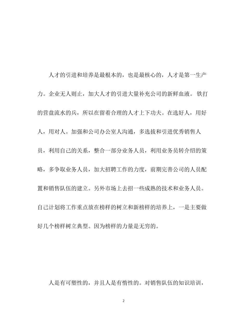 明年销售工作计划_第2页