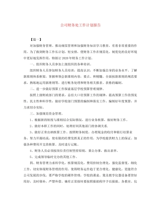 公司财务处工作计划报告