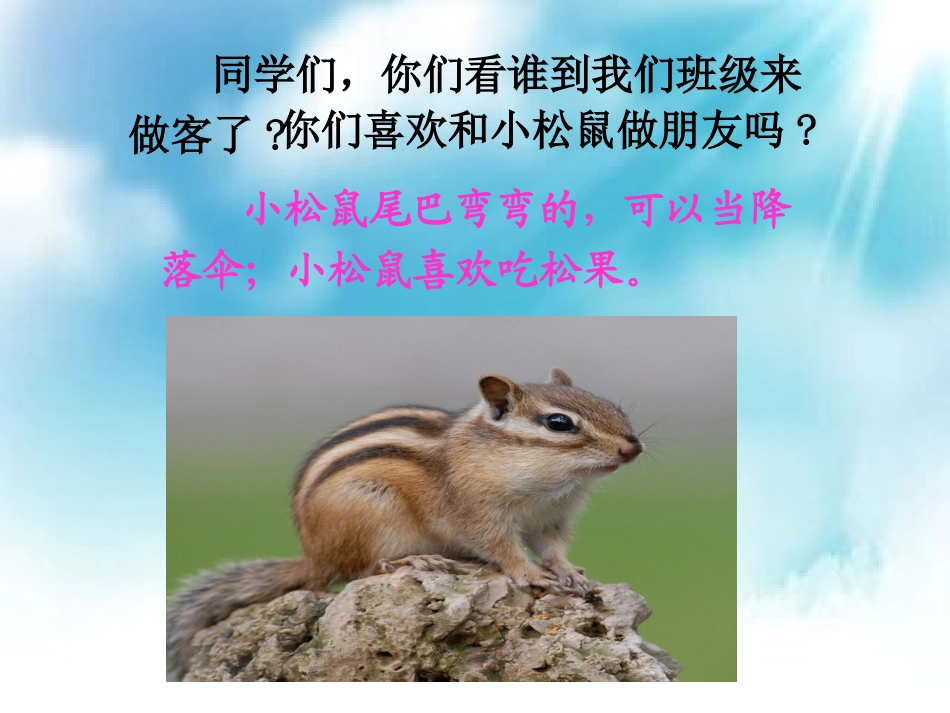 《10、松鼠和松果》公开课2_第2页